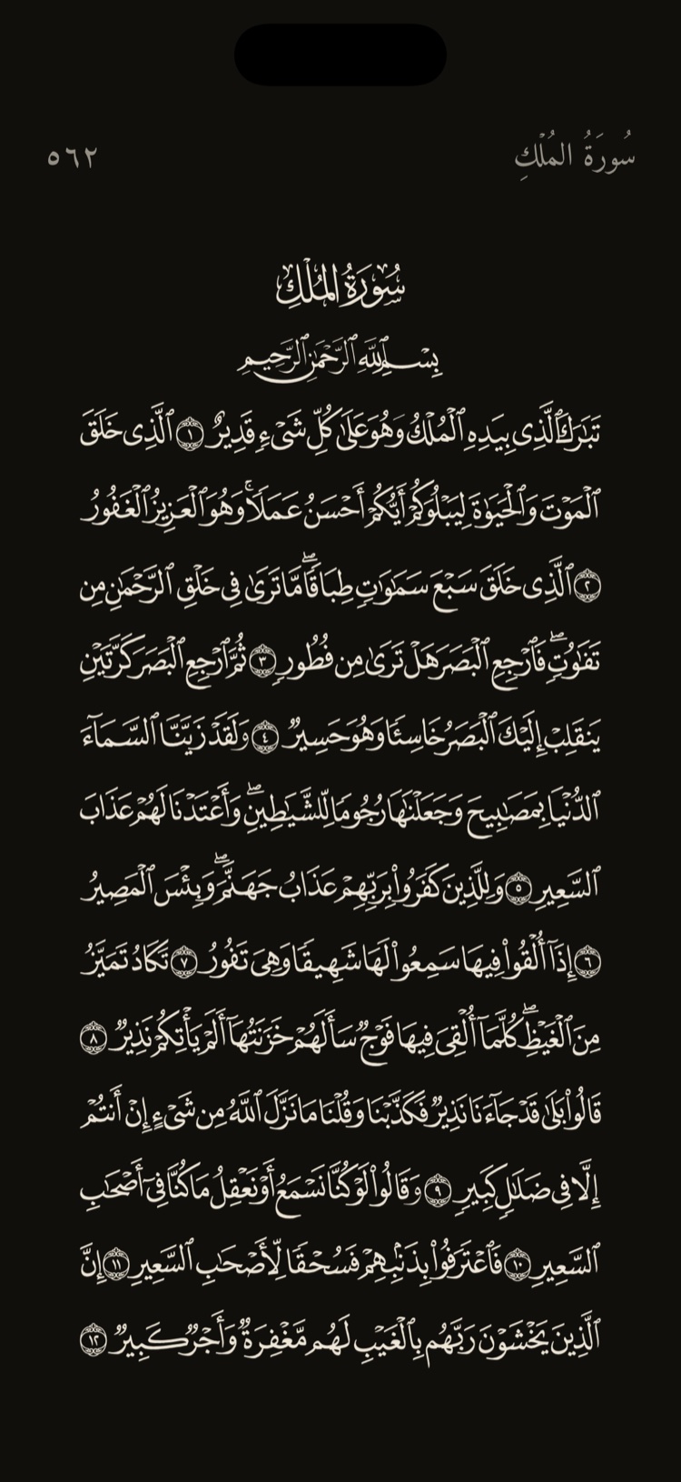 Hafiz — Mushaf, a focused Qur'an reading view