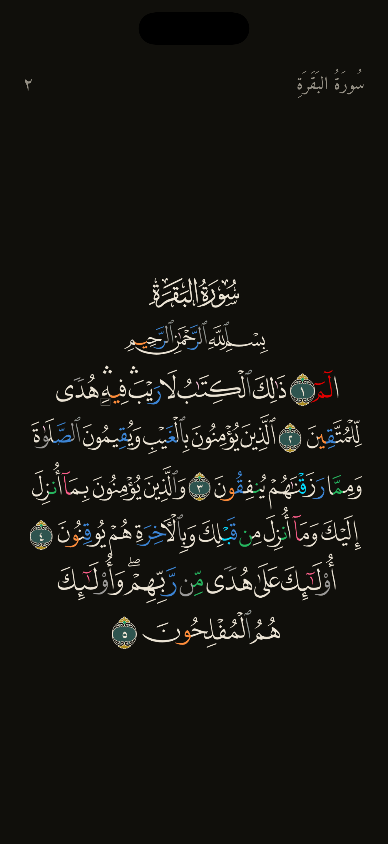 Hafiz — Mushaf, a focused Qur'an reading view